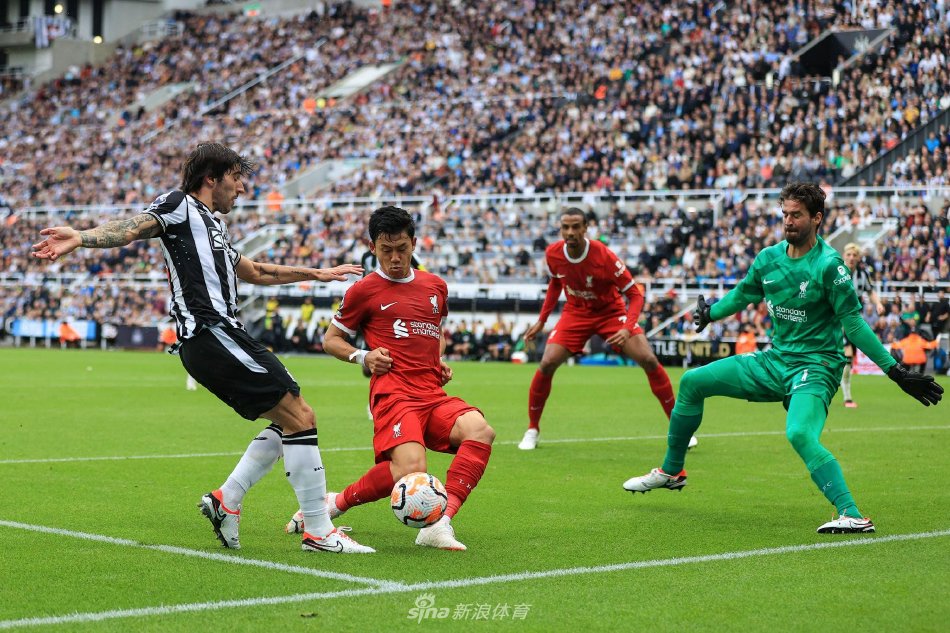 与失败都可 与失败都可